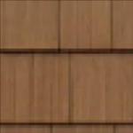 Yellow Birch